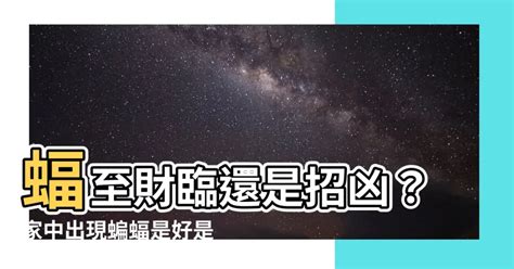 蝙蝠是好是壞|台灣「蝙蝠俠」徐昭龍：帶領民眾「城市賞蝠」，用行動守護自然。